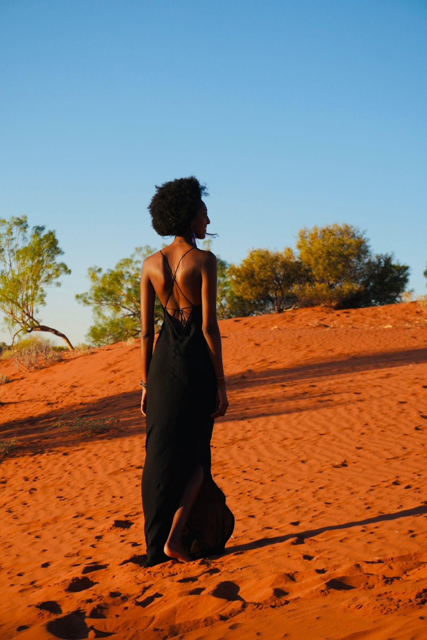 Backless Nightfall Silhouette Maxi